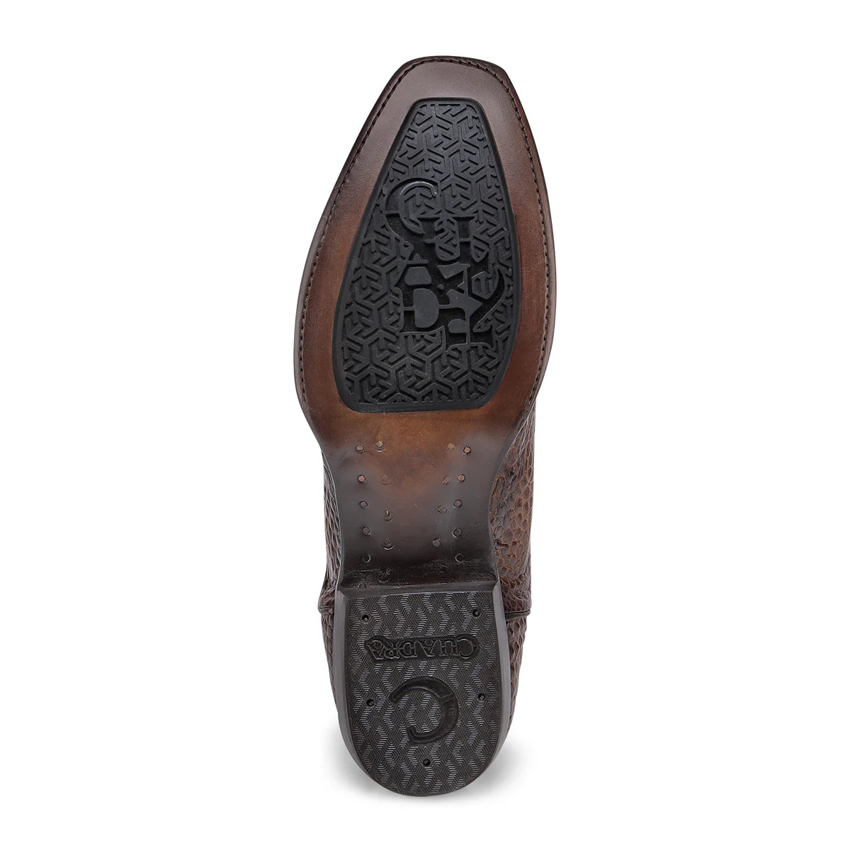 Cuadra Alligator Honey