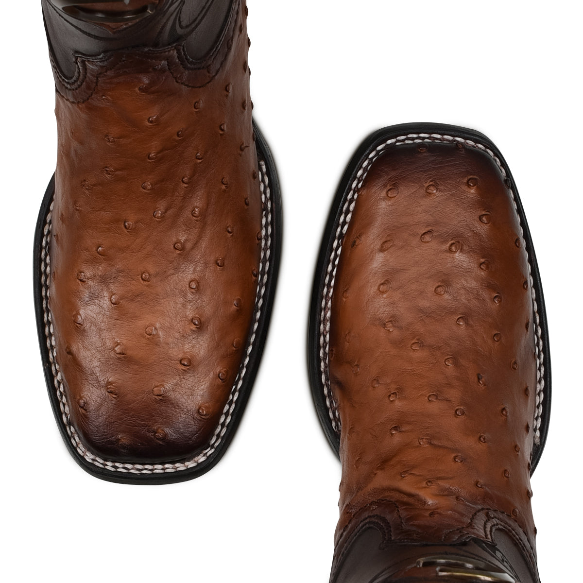 Cuadra Brown Ostrich Laser & Embroidery