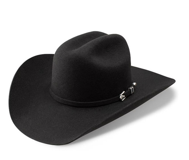 Stetson Men's Apache 4X Buffalo Felt Hat