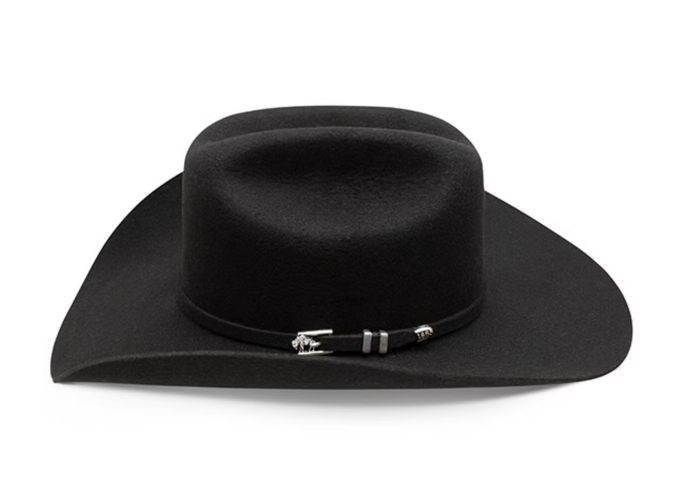 Stetson Men's Apache 4X Buffalo Felt Hat