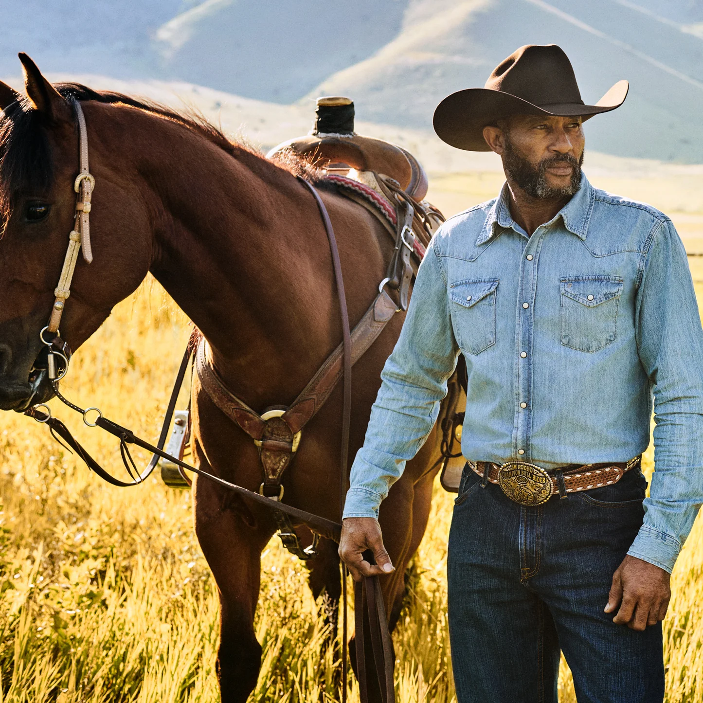 Stetson Hats Skyline Chocolate 6X Texana