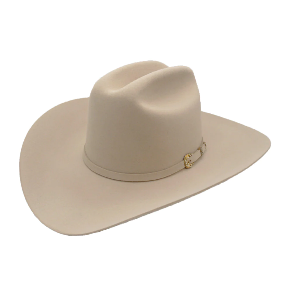 Stetson Silver Belly Palacio 6X Texana